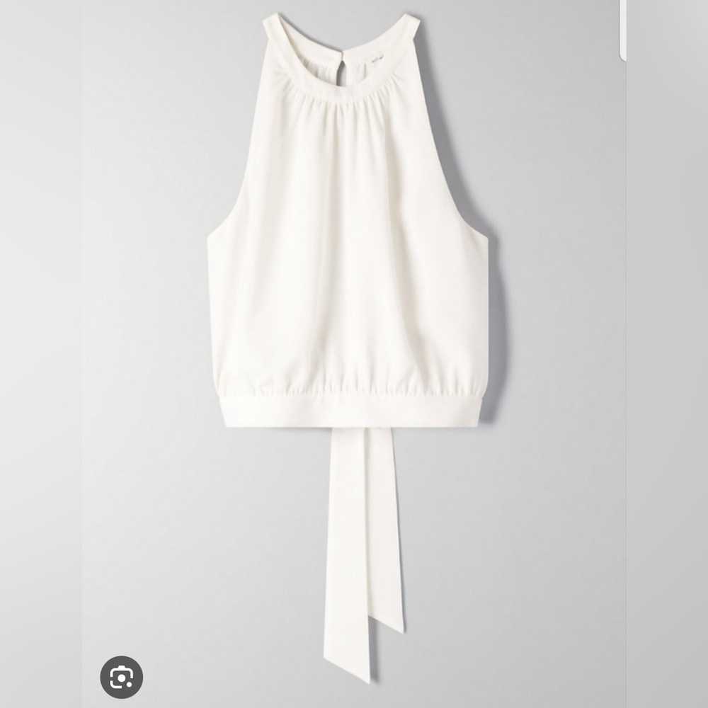 Aritzia Blouse